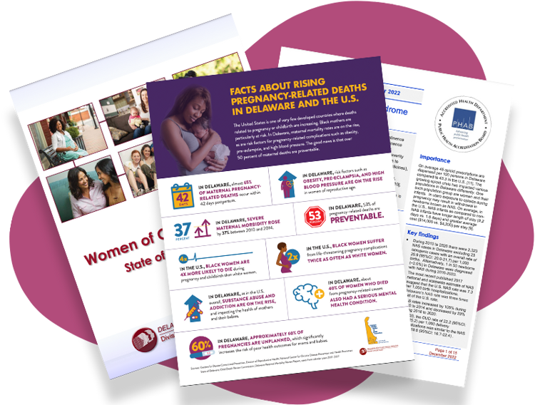 Delaware Healthy Mother & Infant Consortium (DHMIC) | Delaware Thrives
