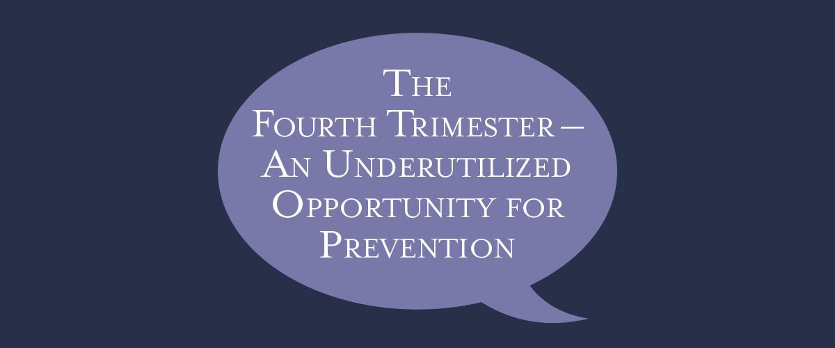 Healthy 4th Trimester Poster