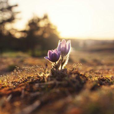 Empowering a Survivor to Thrive