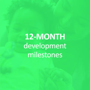HMG-MAY14-12 month developmental milestones